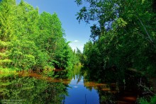 Forest River / ***