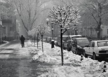 Schnee und die Stadt / ***