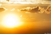 Mit Sonnenuntergang ... / ***