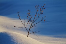 Erinnerungen an die vergangenen Sommer. / ***