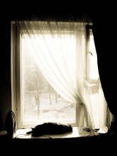 Winter / ***
