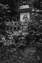Alter Park / .....