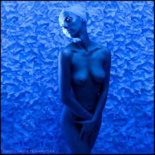 In Blue / portfolio