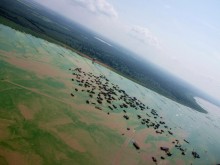 Drehen Sie den Tonle Sap See / ***