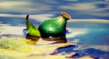 Spritzer-Dock / http://fotki.yandex.ru/users/nastikter/view/249744?page=0