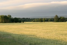 Native Freiflächen / ***