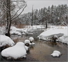 Erinnern Winter mit grauem Himmel .... / *******