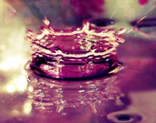 Crown / ******************************