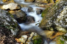 Mountain Stream / ***