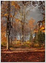 .... Und leise, leise Blätter knirschte unter ihren Füßen .... / autumn...