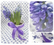 Hyacinth:) / ********************