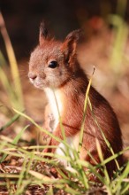 ... &quot;Alle für Aufmerksamkeit ...&quot; / ***