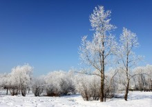In einem verschneiten Park / ***