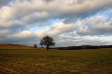 Rückkehr / __________