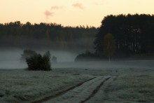 Herbstmorgen auf der Insel / ***