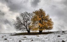 Herbst-Winter-Paar / ............................