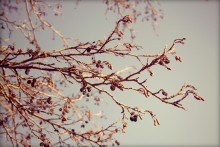 Spring time / .....