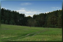 Der Weg in den Wald / ***
