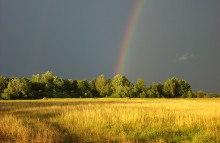 Nach dem Sturm / ***