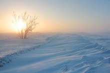 wo gewandert Frühling? / ......