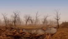 Eintauchen in die Geheimnisse der Nebel 2 / ***