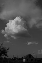 Wolke / ***