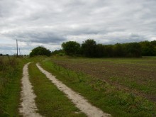 Der Weg zur nikudi / ***