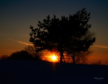 Winter Sonnenuntergang / ***