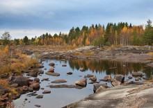 Ruhig in der karelischen Wald / ***