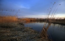 Trastnikovy Paradies ... / ***