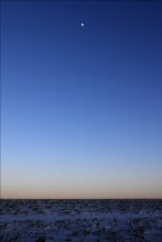 minima moon / ***