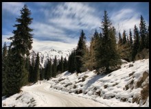 Weiße Nächte in den Bergen des Tien Shan / ______