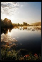 Sunrise / morning fog