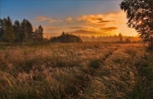 Bereits abnehmenden Sonnenuntergang im Nebel / ________ ________ __________