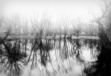 Boldino Morgen / *********