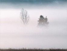 Außerhalb des Dorfes. / ***