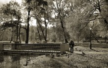 Der alte Mann und die Enten / ***