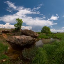 Steppe Oasis / ***