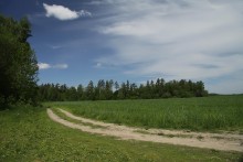 Ach, Sommer! / ***