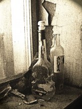 Aus dem Zyklus vor dem Fenster " / ***