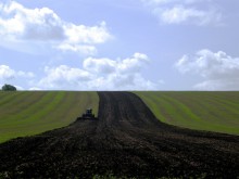 Traktor im Feld / ***