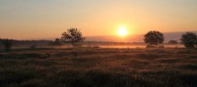 Im sanften Licht der Morgendämmerung-2 / **********