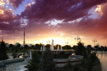 Stella - Eine neue Perspektive / ***