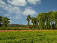 Ländliche Landschaft / ---------