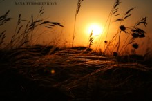 Summer Sunset / ...........