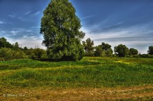Sommer / ***