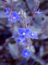 &nbsp; / ////////////////////////////////