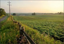 Farmer Morgendämmerung .. 2 / ***