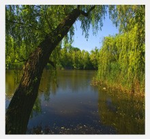 Walking im Sommer Park / ***