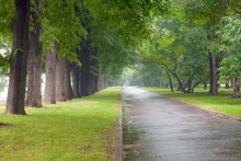 Lindenallee / ***